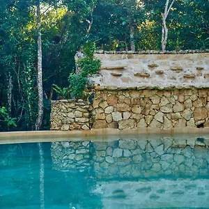 Agua Y Fuego Bed & Breakfast